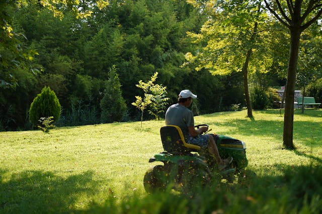 Lawn Installation